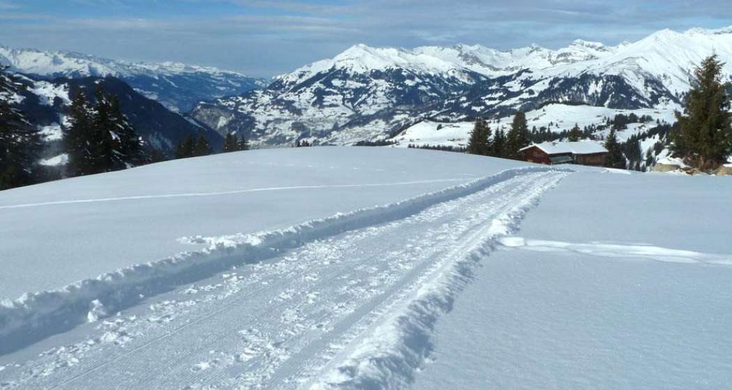 Kurz nach dem höchsten Punkt; Panoramablick aufs vordere Prättigau Kurz nach dem höchsten Punkt; Panoramablick aufs vordere Prättigau