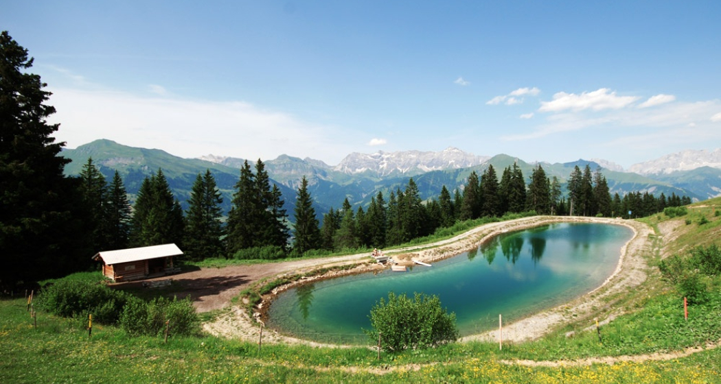 Grillplatz / Feuerstelle Speichersee Furna (oua_17365494_image) Grillplatz / Feuerstelle Speichersee Furna (oua_17365494_image)