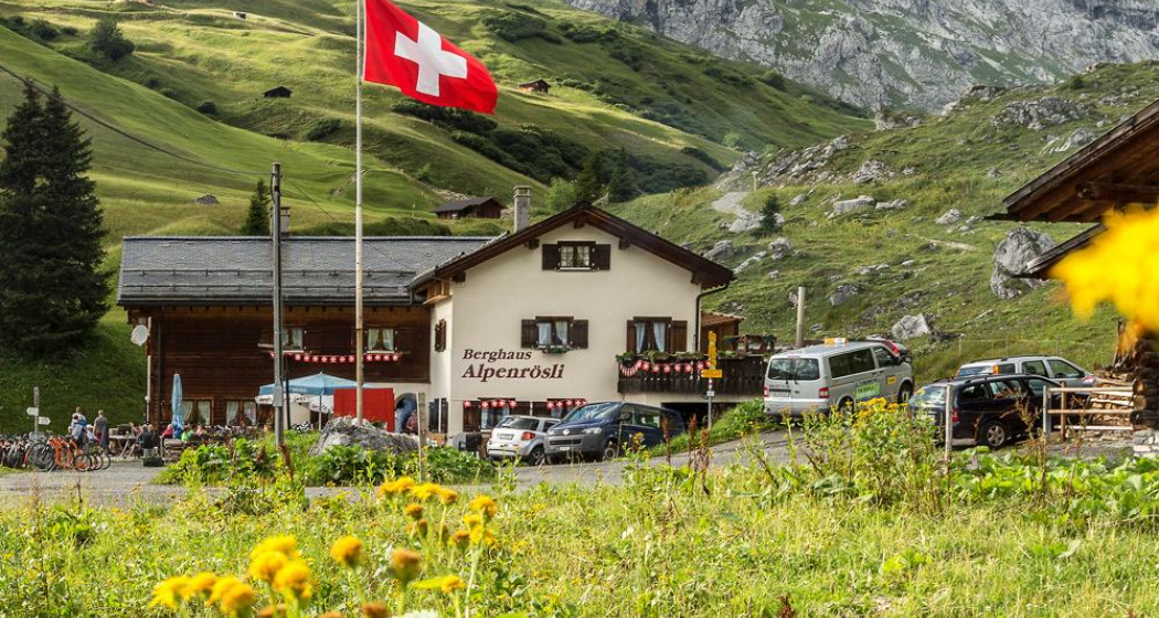 Alpenrösli im Sommer Alpenrösli im Sommer
