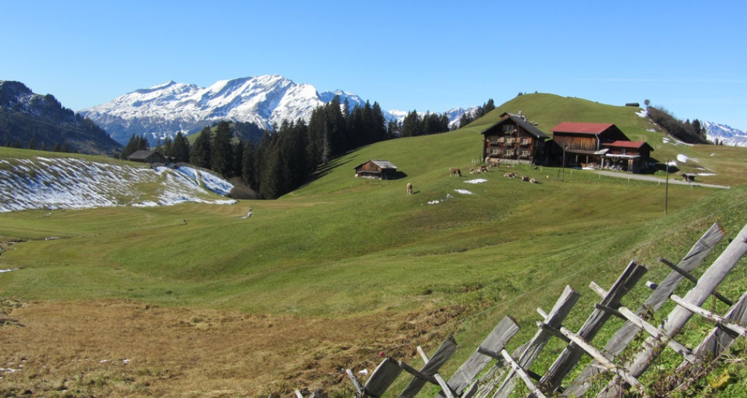Berghaus Scära Berghaus Scära