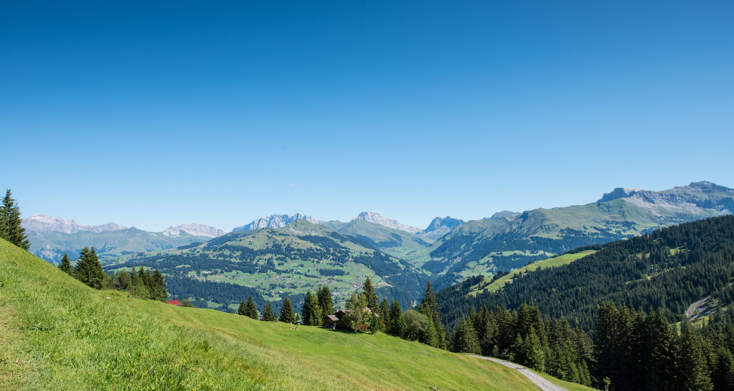 Blick vom Heuberg in Richtung Rätikon Blick vom Heuberg in Richtung Rätikon