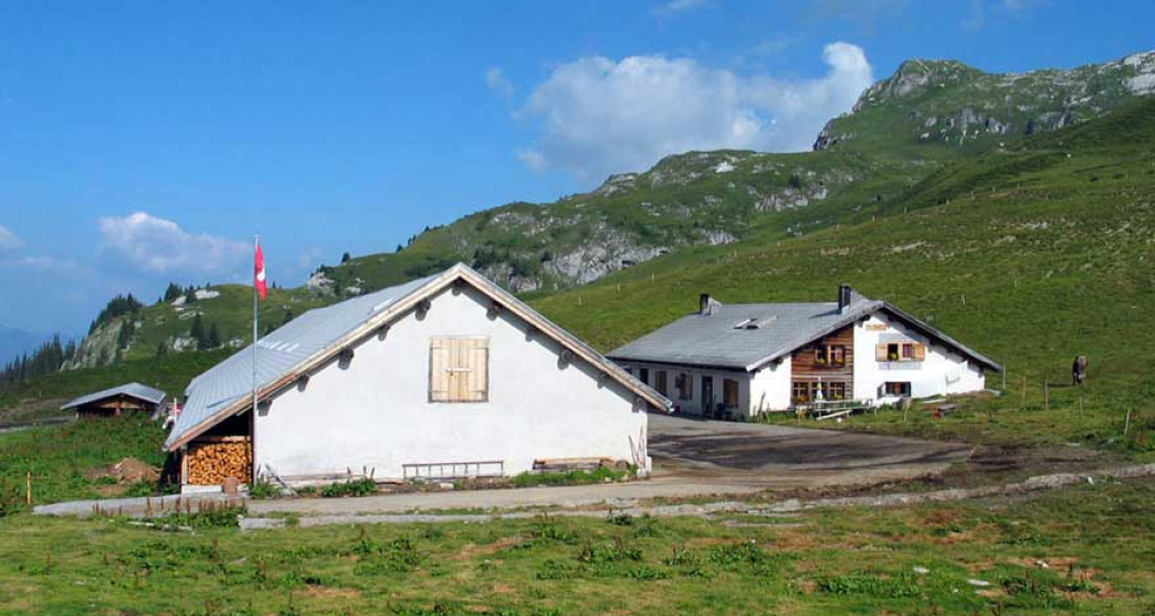 327 Alp Meder (oua_1922292_image) 327 Alp Meder (oua_1922292_image)