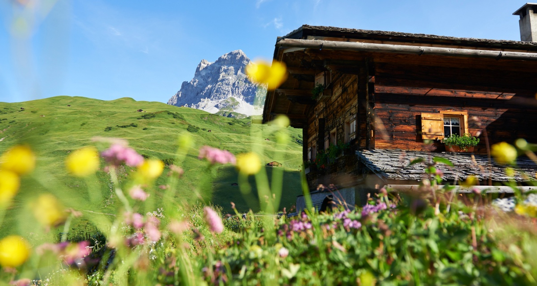 Etappe 3: Carschinahütte–St. Antönien, 72 Prättigauer Höhenweg (oua_22635292_image) Etappe 3: Carschinahütte–St. Antönien, 72 Prättigauer Höhenweg (oua_22635292_image)