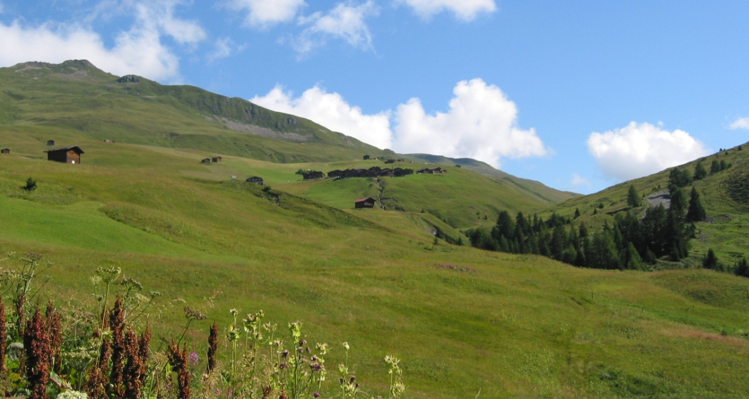 Etappe 19: Strassberg im Fondei