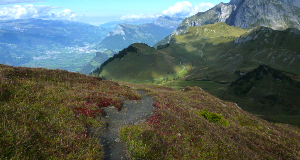Blick hinunter ins Rheintal Blick hinunter ins Rheintal