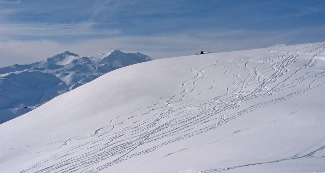 Skitour auf den Schafberg Skitour auf den Schafberg