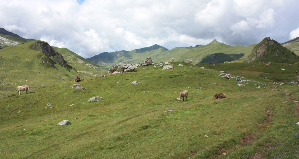 Etappe 19: Casannapass