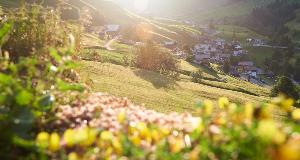 Walserdorf St. Antönien im Abendlicht Walserdorf St. Antönien im Abendlicht