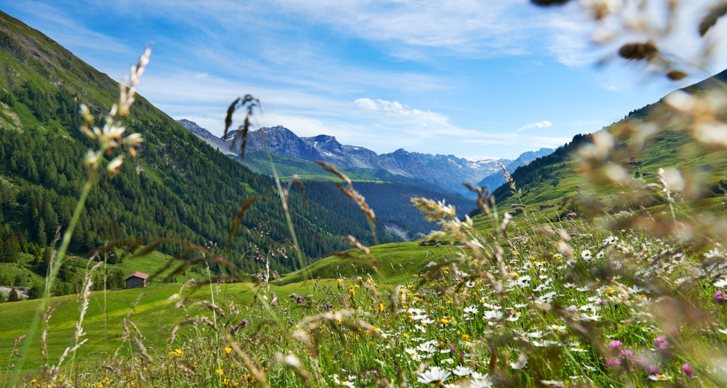 Fondei; Aussicht Richtung Langwies Fondei; Aussicht Richtung Langwies