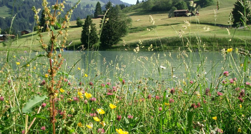 Plävigginer See Plävigginer See