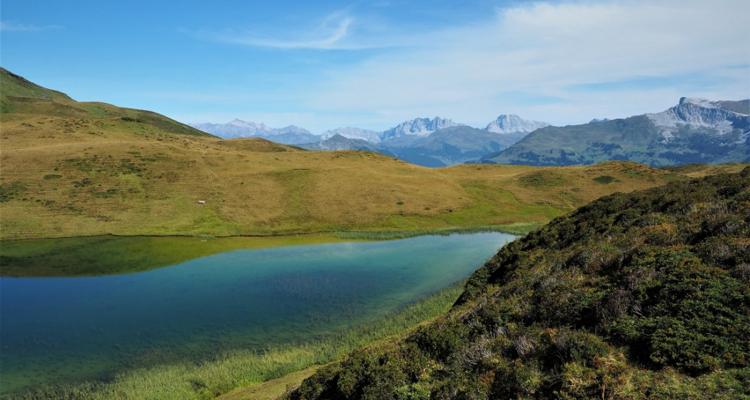 Grünsee Grünsee