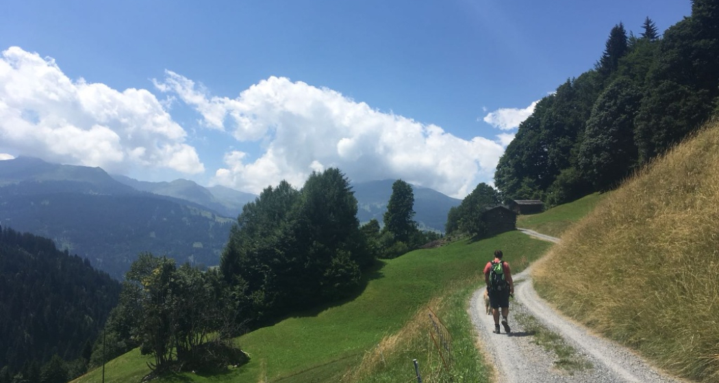 Weg entlag schöner Wiesen