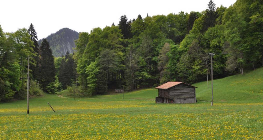 Das idyllische Islatal in Seewis Das idyllische Islatal in Seewis