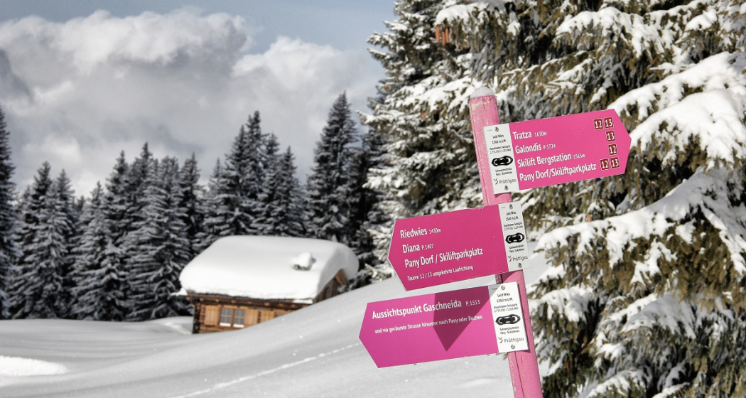 Panyer Rundtour Schneeschuhtour Panyer Rundtour Schneeschuhtour
