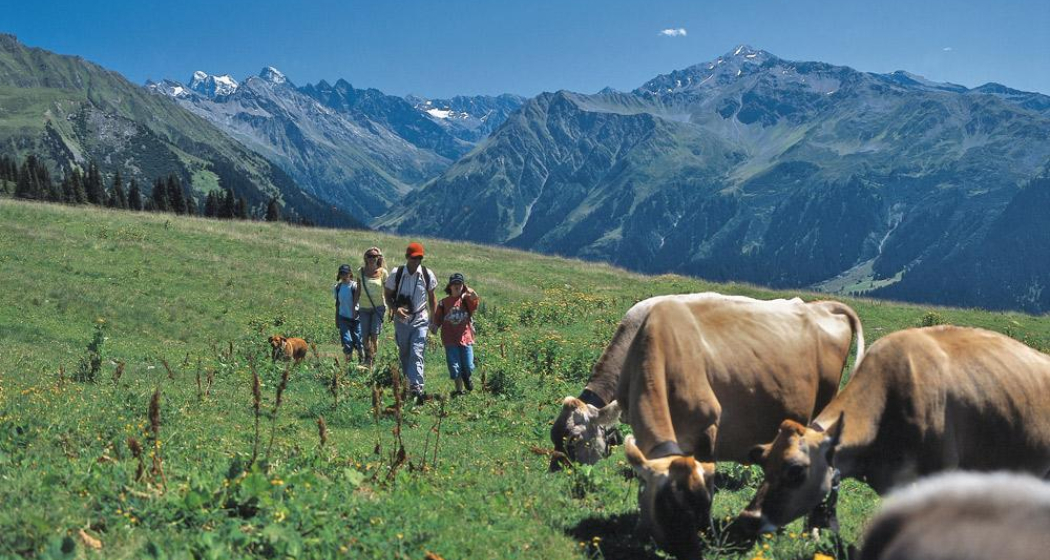 Ausgangspunkt Saaser Alp Madrisa Ausgangspunkt Saaser Alp Madrisa