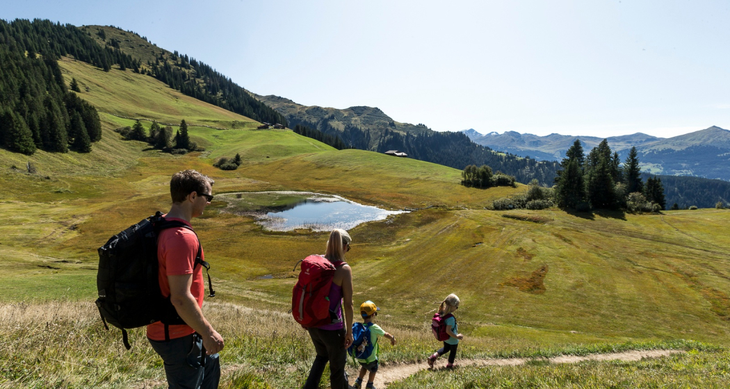 Beim Naturschutzgebiet Stelsersee Beim Naturschutzgebiet Stelsersee