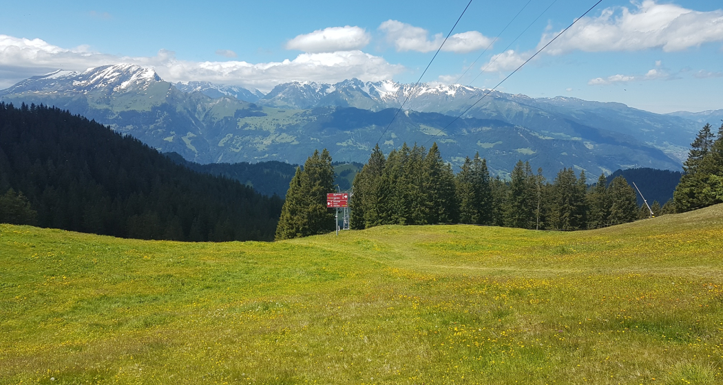 Aussicht Grüsch-Danusa Aussicht Grüsch-Danusa
