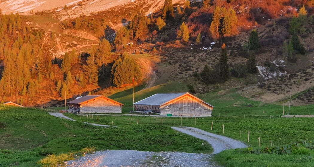 Frühlingserwachen auf der Alp Casanna Frühlingserwachen auf der Alp Casanna