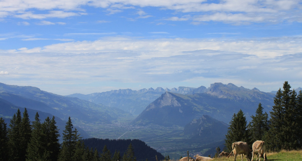 Tolle rundum Sicht am Furner Berg, z.B. ins Rheintal bis nach Sargans Tolle rundum Sicht am Furner Berg, z.B. ins Rheintal bis nach Sargans