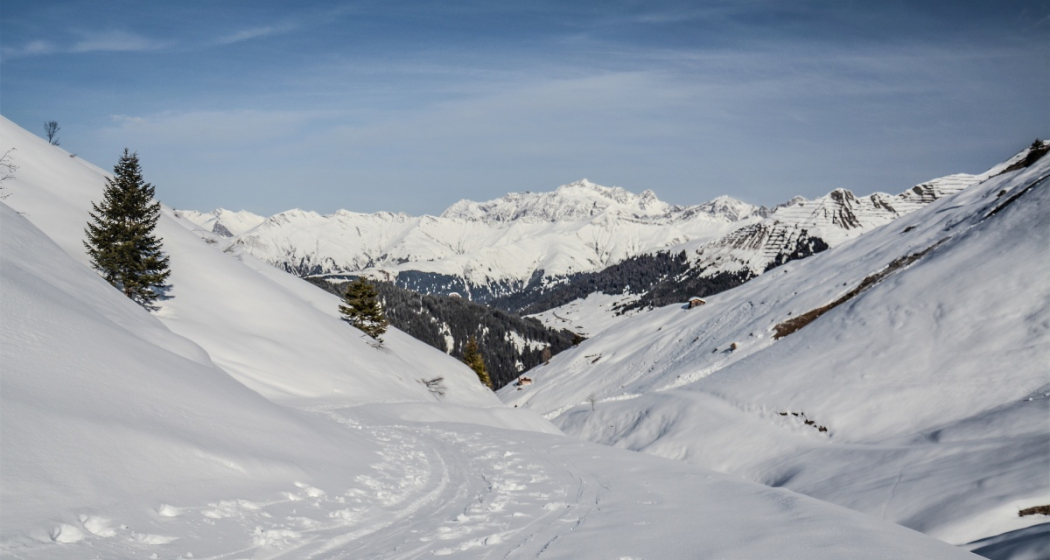 Jägglisch Horn (oua_58057186_image) Jägglisch Horn (oua_58057186_image)