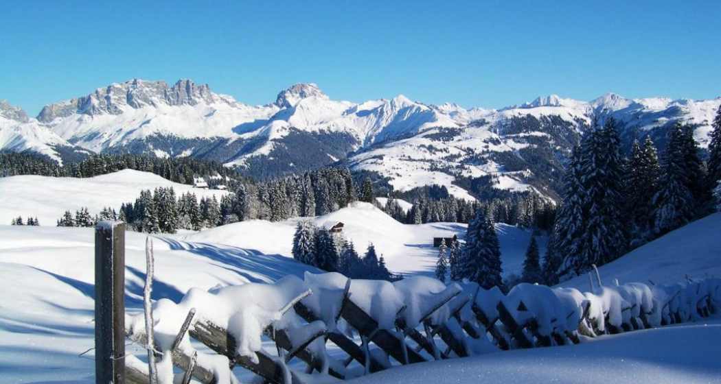 Schrägzau mit Rätikon-Blick Schrägzau mit Rätikon-Blick