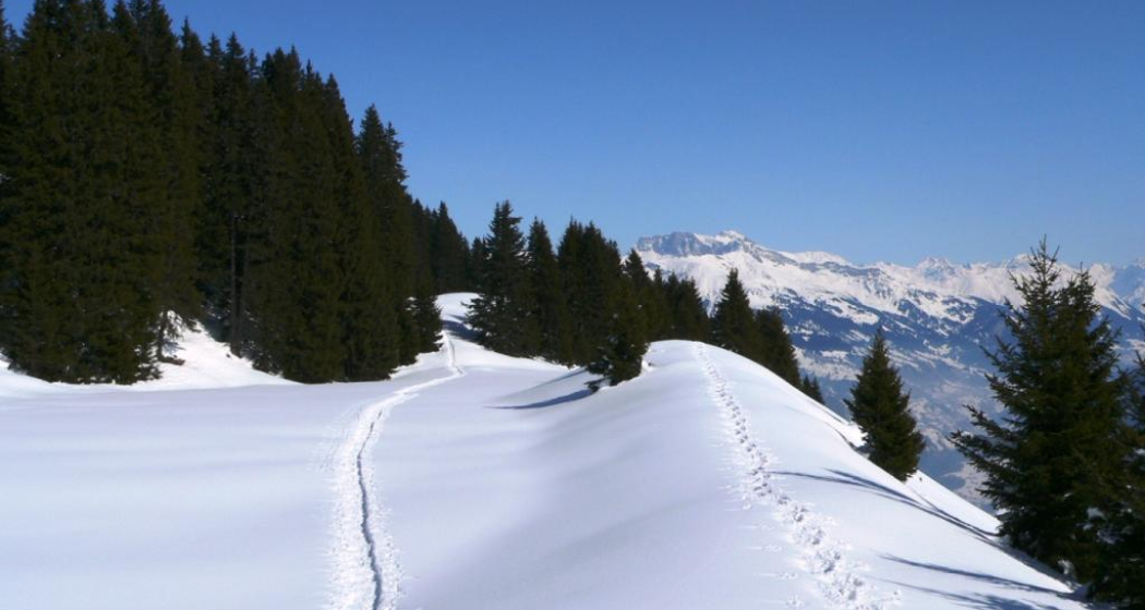 Schneeschuhspuren auf dem "Scäri" Schneeschuhspuren auf dem "Scäri"