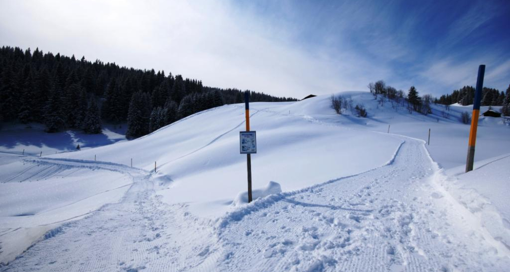 Winterwanderweg Furna, Hof Winterwanderweg Furna, Hof