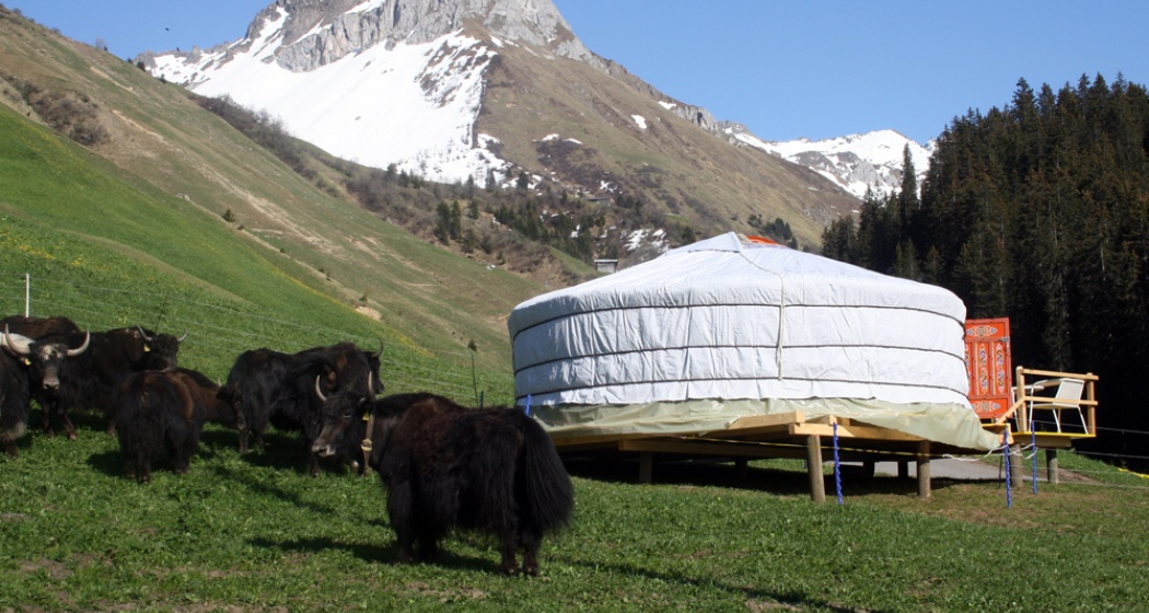 Mongolische Jurte mit Yaks Mongolische Jurte mit Yaks