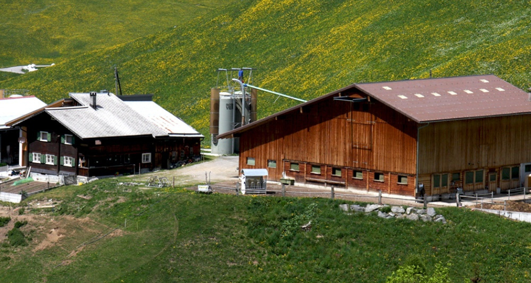 Agrotourismus Stapfa St. Antönien Agrotourismus Stapfa St. Antönien