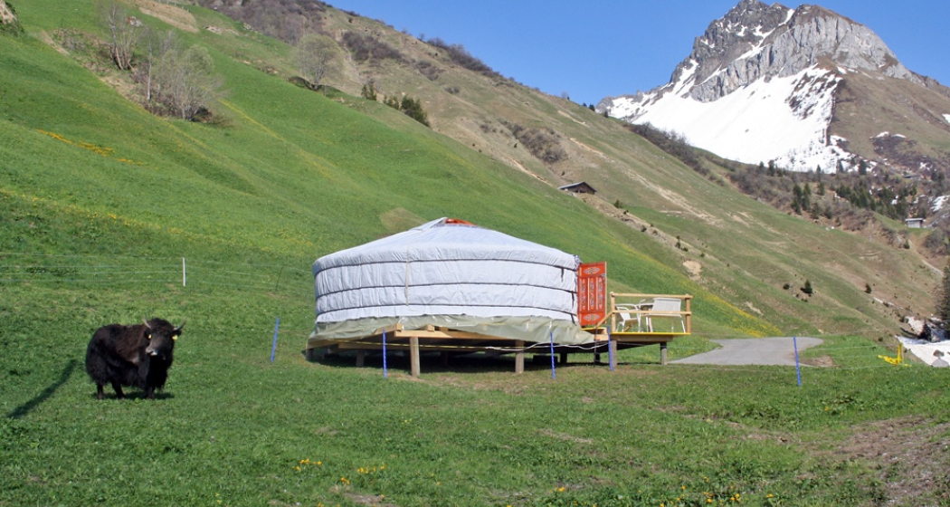 Mongolische Jurte mit Yak Mongolische Jurte mit Yak