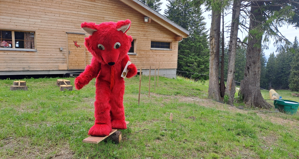 Grüsch Danusa Fuchs absolviert Posten Nummer 7 bei der Gams Grüsch Danusa Fuchs absolviert Posten Nummer 7 bei der Gams