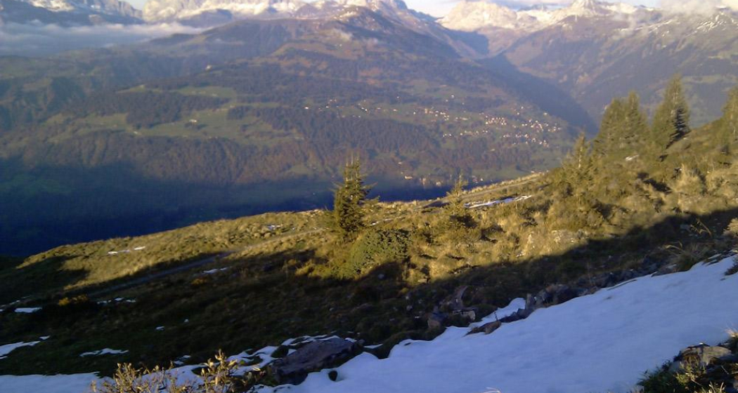 Fideriser Heuberge - Valdavos - Jenaz Fideriser Heuberge - Valdavos - Jenaz