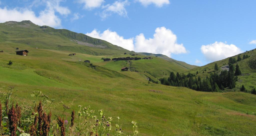 Etappe 18: Strassberg, Fondei Etappe 18: Strassberg, Fondei