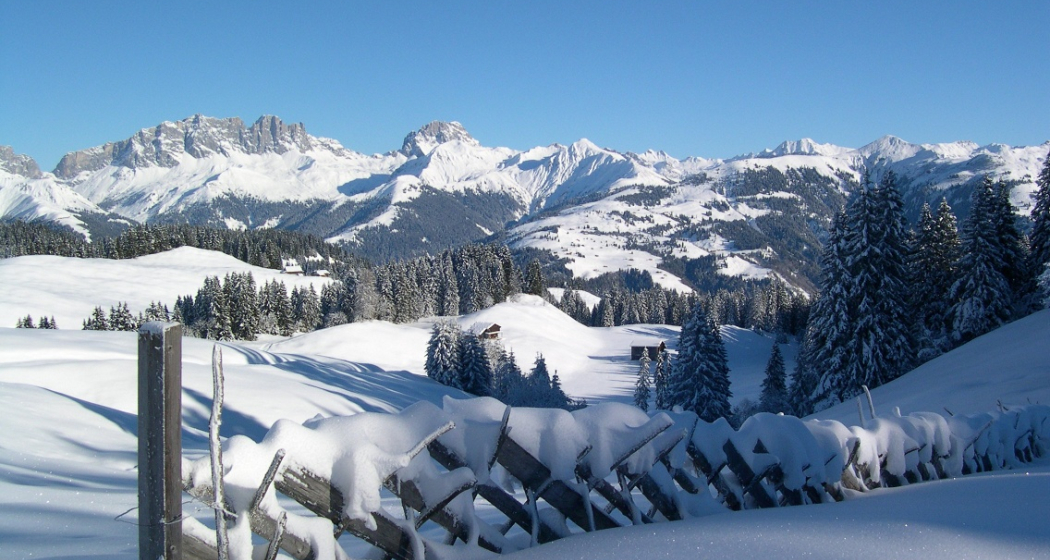 Imposanter Blick in den Rätikon vom Furnerberg aus Imposanter Blick in den Rätikon vom Furnerberg aus