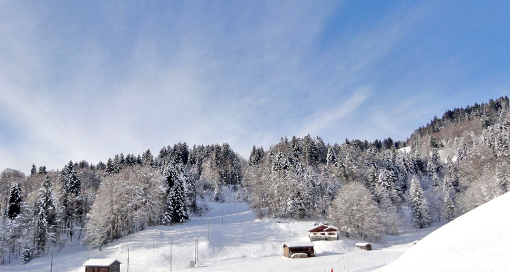 Weisse Landschaft um Seewis