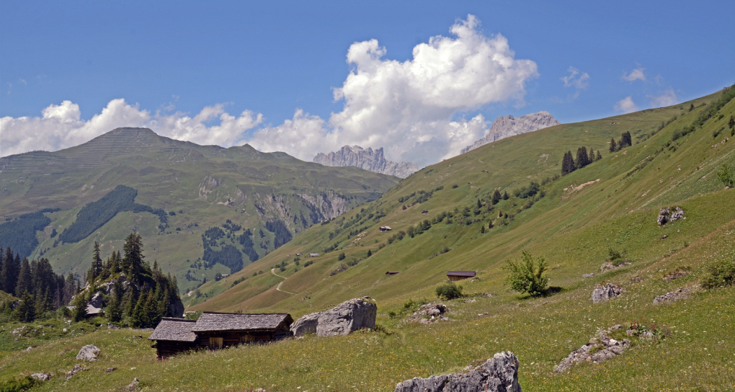 Höhenweg von der Madrisa übers Rätschenjoch nach St. Antönien (oua_67531273_image) Höhenweg von der Madrisa übers Rätschenjoch nach St. Antönien (oua_67531273_image)