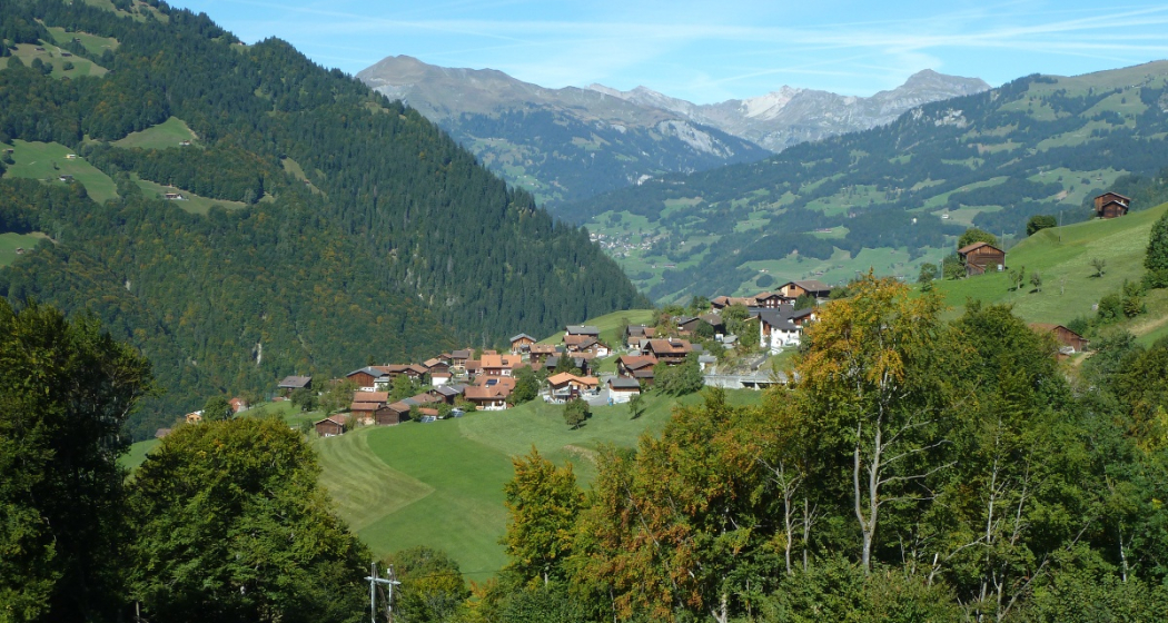 Buchen Buchen