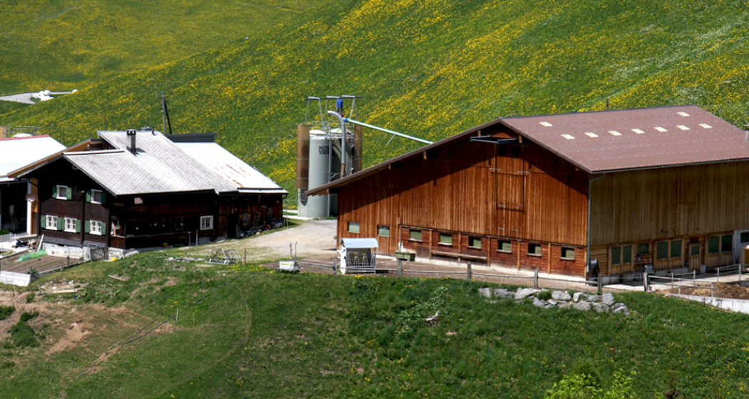 Agrotourismus Stapfa St. Antönien