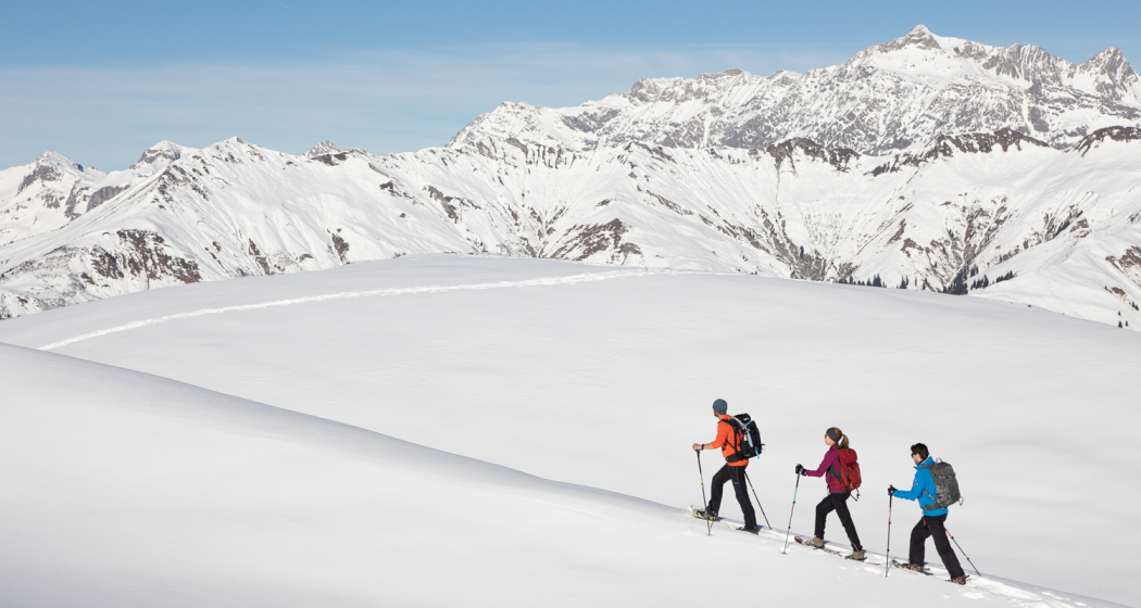 Schneeschuh-Tagestour Schneeschuh-Tagestour