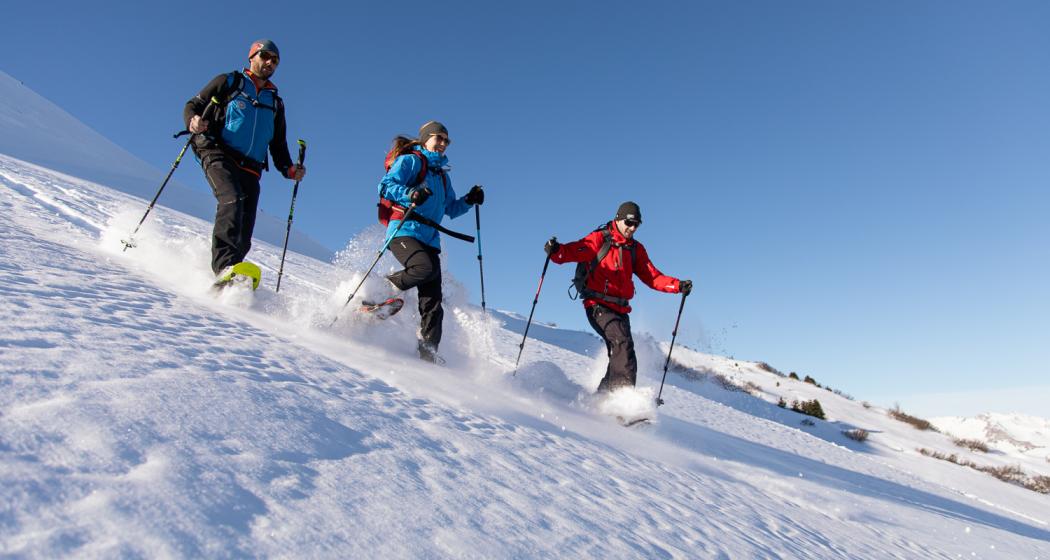 Schneeschuh-Tagestour Schneeschuh-Tagestour