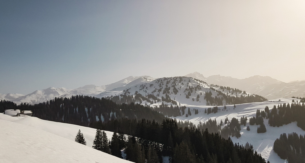 Schneeschuhtour Schneeschuhtour