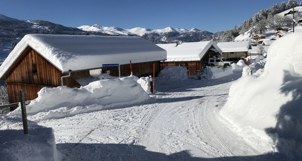 Ferienhaus Rosenberg Pany, Prättigau