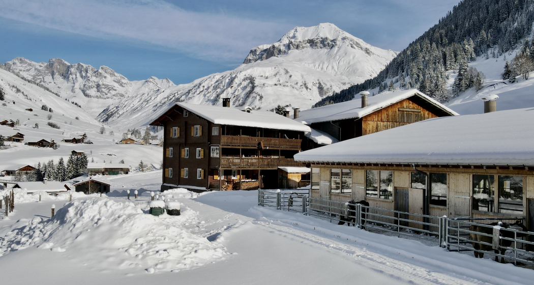 Ferienwohnung Gürgetschhof (tom_tds00020014635133089_image)