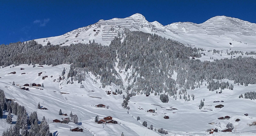 Hotel Bellawiese (tom_tds00020015916267072_image)