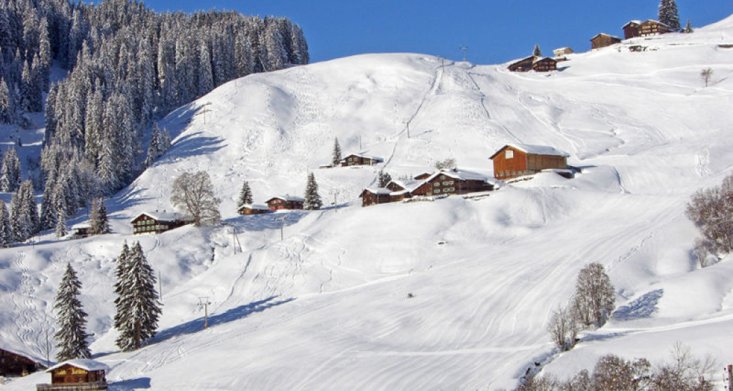Saisonstart Skilifte Pany und St. Antönien (gdl_494873191_image) Saisonstart Skilifte Pany und St. Antönien (gdl_494873191_image)
