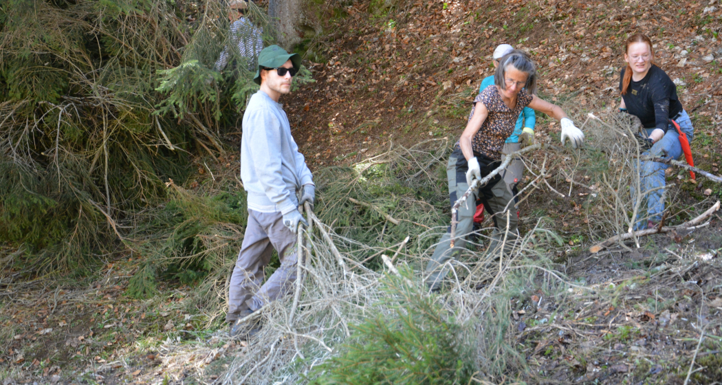 Natur verbindet: Waldrandpflege im abgelegenen Valzeinertal (gdl_872519080_image)