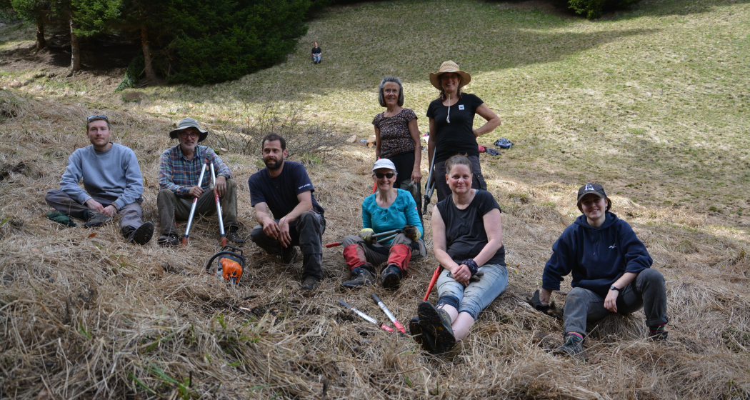 Natur verbindet: Waldrandpflege im abgelegenen Valzeinertal (gdl_872519081_image)