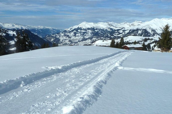 Kurz nach dem höchsten Punkt; Panoramablick aufs vordere Prättigau
