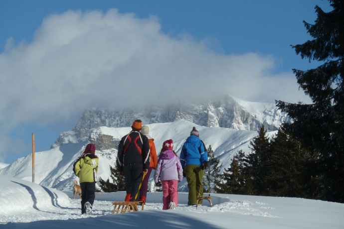 Herrlicher Ausblick auf die Rätikon-Kalkwände