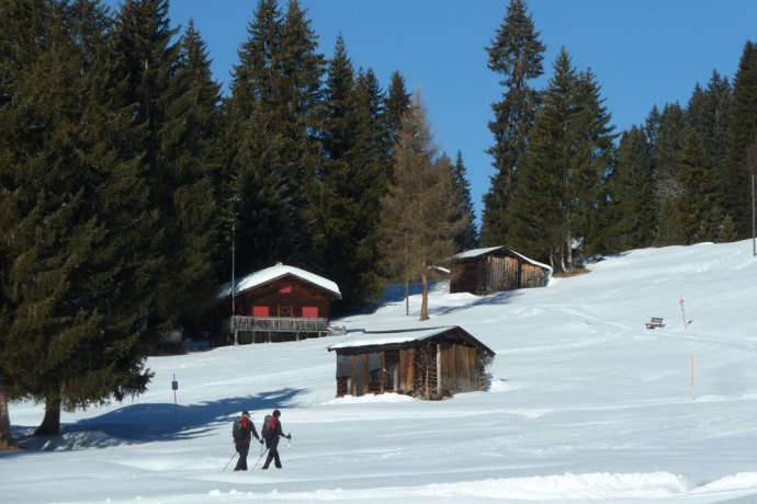 Gemütlich bergan...